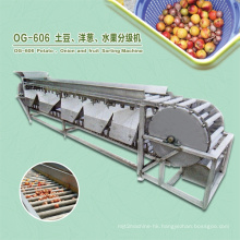 Commercial Mulifunction Garlic Mango Fruit Grading Sorting Machine